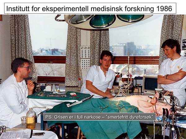Fra stipendiat-tiden: Forsøk med anestesert gris, sammen med gjester fra ”Fysiologien” i Gøteborg.  Claes Jønsson (venstre) leder nå Det Svenske Landsregisteret for Pancreascancer.